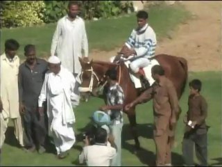 Karachi Race Club 2 December 2012 Race 3