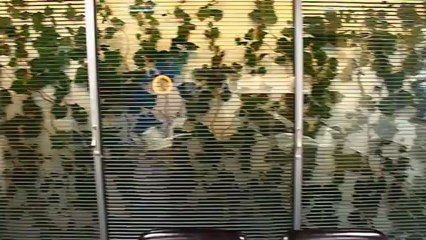 Mega Holding tasarım ve uygulama sonrasındaki çalışmamız