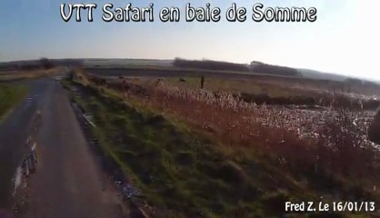 Clarification sur la nature de 'Fred et les Antilopes'