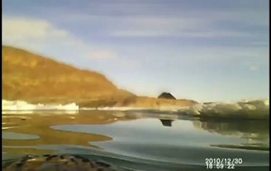 Câmeras mostram pinguins caçando