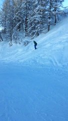 Robin de la poudreuse