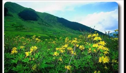 Dağların Karı Yetmez