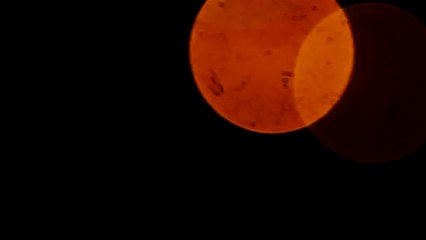 Colors 6 (moving camera) - Free HD stock footage