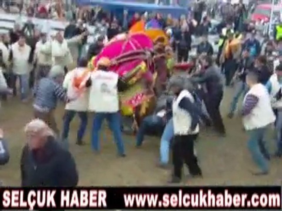 31. SELÇUK EFES DEVE GÜREŞLERİ VİDEOSU 2013