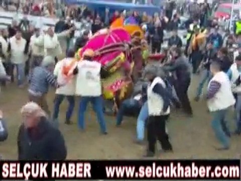 31. SELÇUK EFES DEVE GÜREŞLERİ VİDEOSU 2013