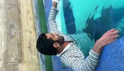 Rarrar ki Watt In Pool Cold Water