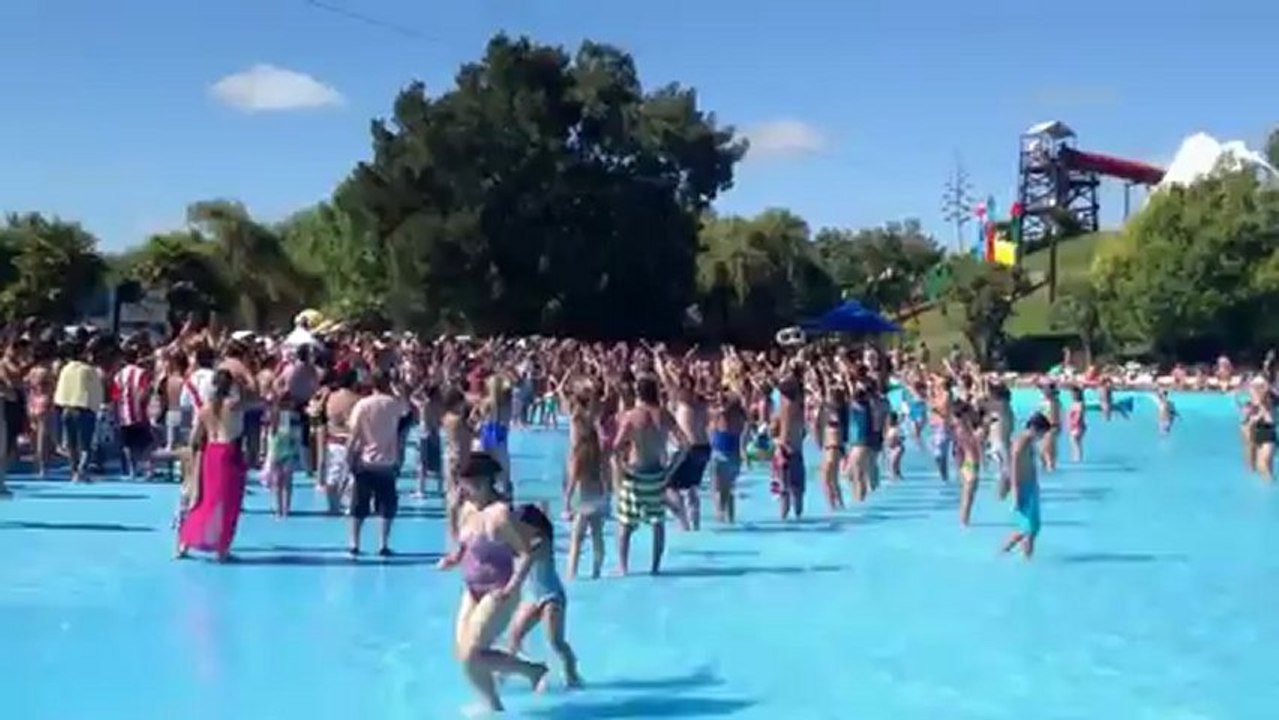 La pileta es de Pachorra