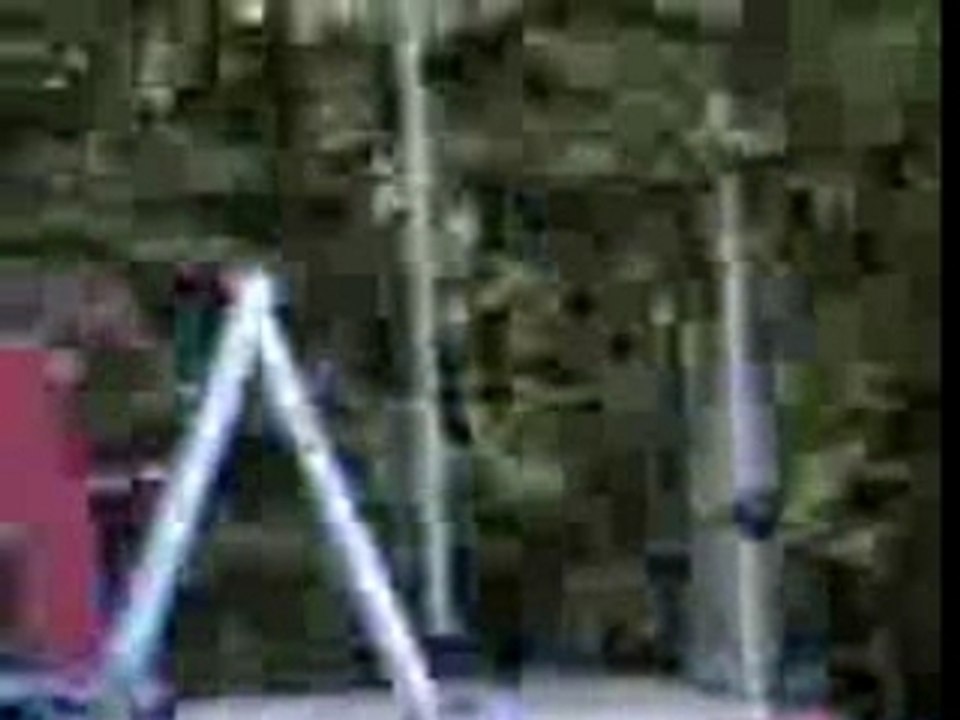 montage festival pleins les feuilles