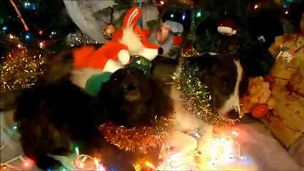 The Howling - Christmas Edition