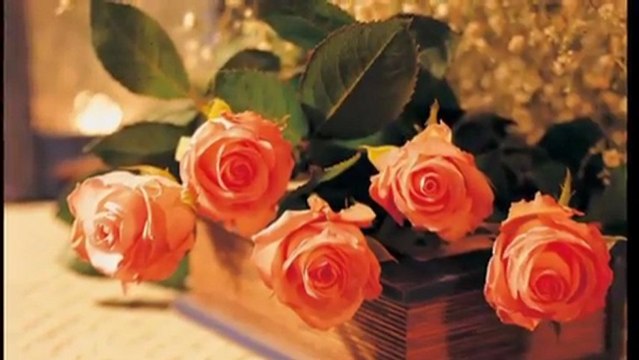 Bir Gece Ansızın Gelebilirim...*Yaşar Özel*