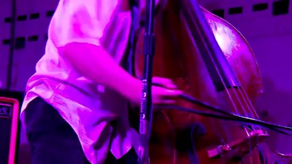 Melvins Lite - Worm Farm Waltz (live)