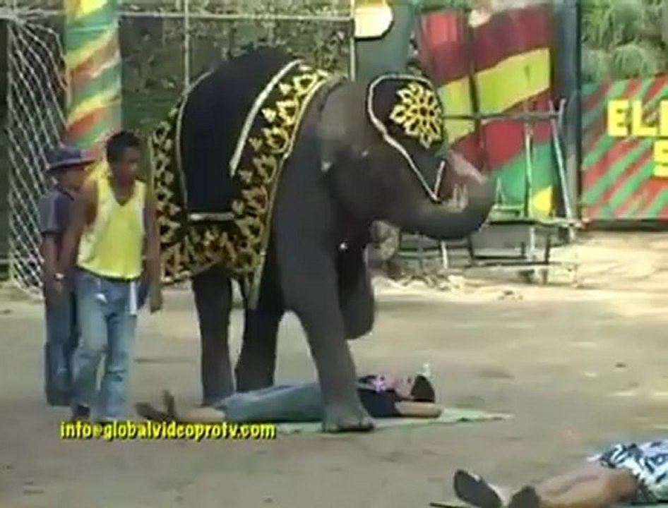 (35) Must Watch and Share