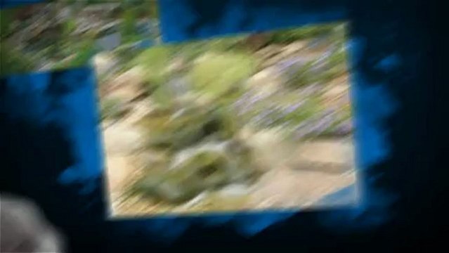 Huntington Beach Fountain Repair