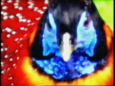 Vahsi Doga Goller Ve Akarsular