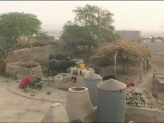 Poverty and Hunger Grows in Our Fields