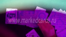 MARKED-CARDS-CONTACT-LENSES-Bee-blue-cards