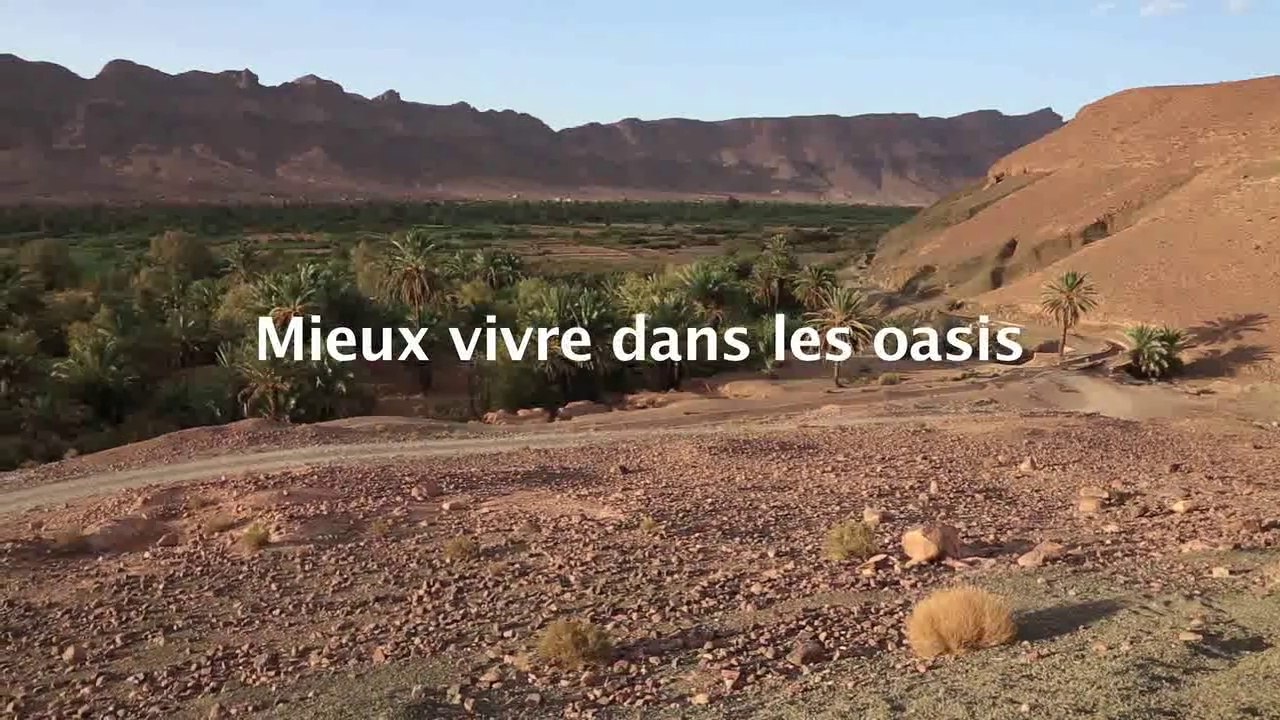 Mieux vivre dans les oasis