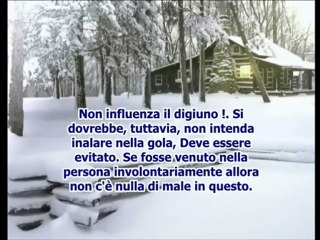 eccessivo vapore annulla diguino vapore, Cheikh el Fawzan