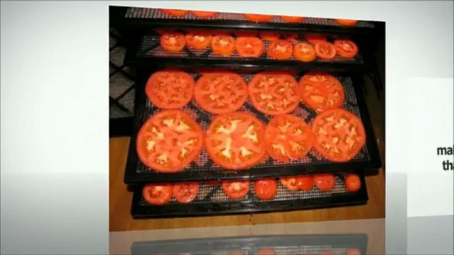 Excalibur 3500 Deluxe Series 5 Tray Food Dehydrator