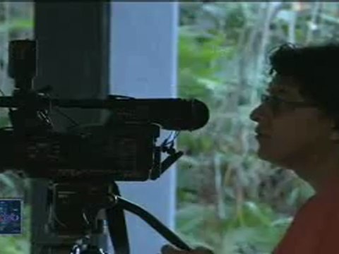 Síntesis Web: Morales presentó informe 2012 ante parlamento