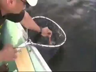 Big Bass Fishing www.asyadizi.com