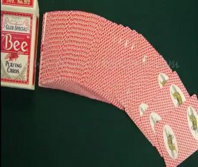 MAGIC-POKER-CARDS--Bee(with picture-Red)--Magic-trick