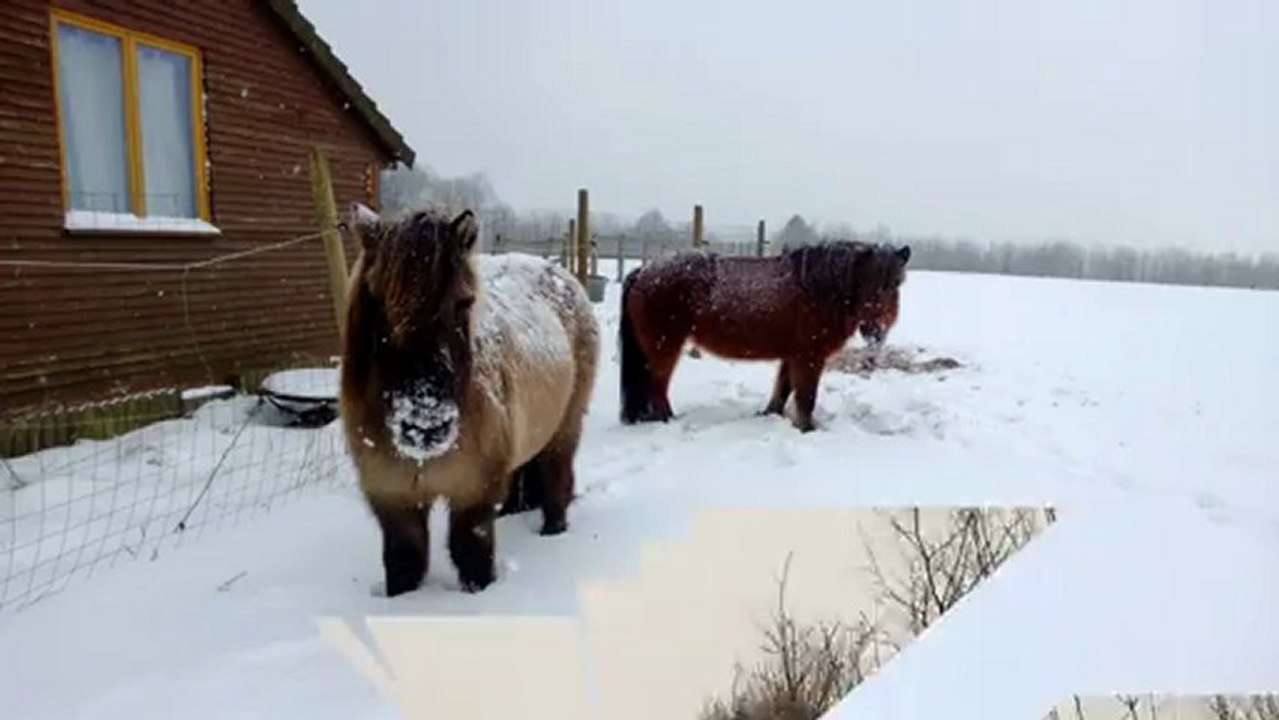 Sortie neige 2013-01-20