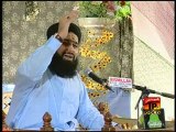 Chandni Chandni Gulistan, Muhammed Owais Qadri