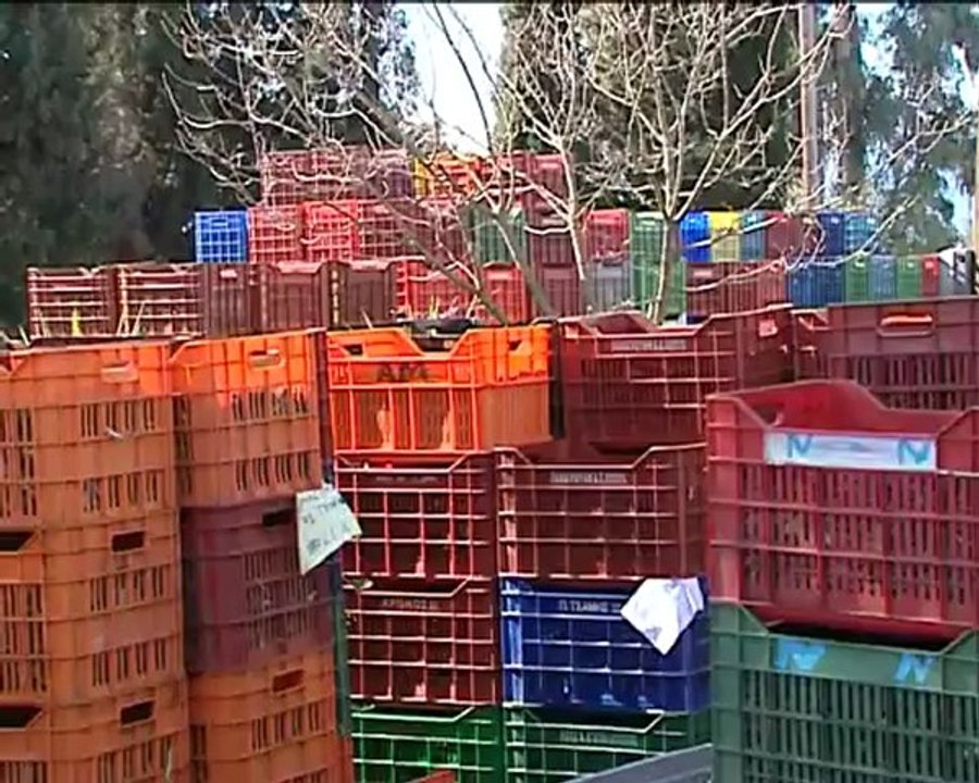 Μέρα νύχτα δουλεύουν τα ελαιοτριβεία στην Ανατο...