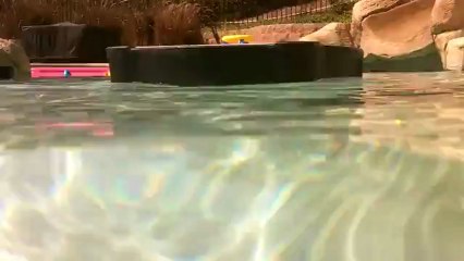 Solar Ionizer and Ozone System for Pools and Open Bodies of water