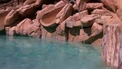 Solar Ionizer and Ozone System for Pools and Open Bodies of water