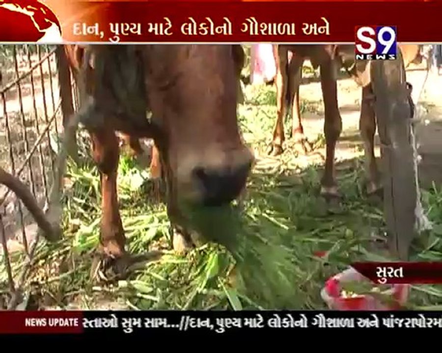 S9news_Surat14-01-2013