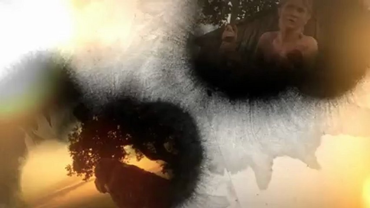 Cujo The Movie coming soon!