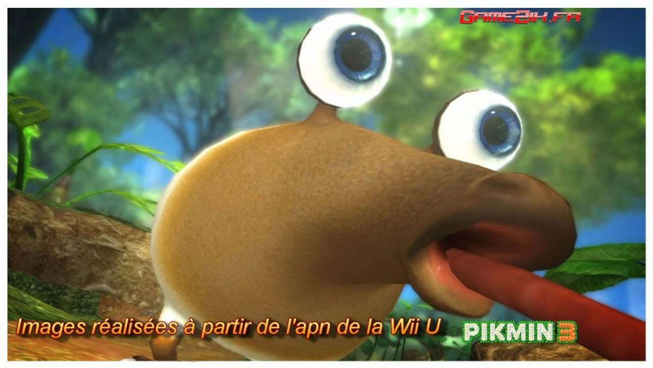 Pikmin 3 (Mode Appereil photo)