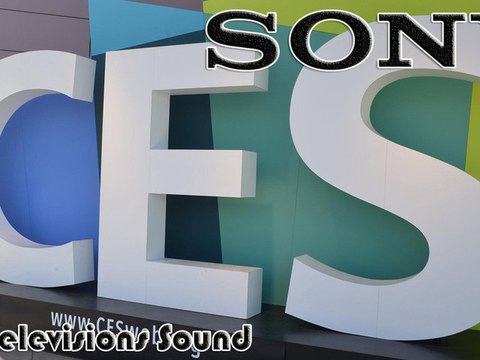 CES 2013: Sony 4K Televisions Sound