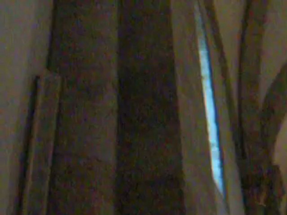 Orgelsommer Osnabrück, Dom St.Peter, 7.August 2012