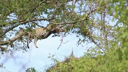 Tanzania - Serengeti, Ngorongoro & Zanzibar