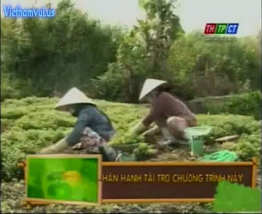 Viethamvui.us CTPho 2 _3_7