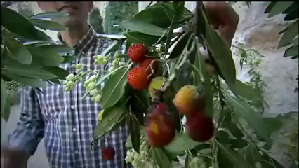 Espai Terra - dimecres 23 de gener