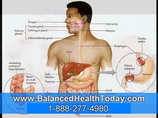 The Causes That You Need to Know About Liver Cancer (Glytamins)