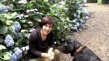 Reiki Healing |  Reiki Australia