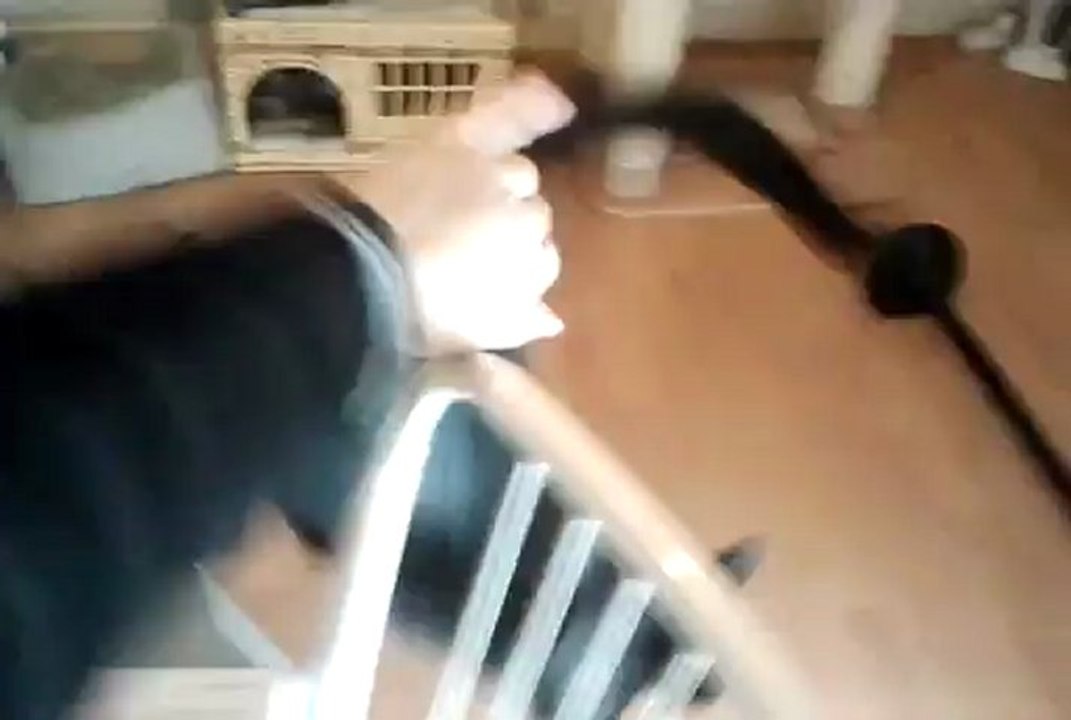 Natsu, chatte adulte à l'adoption