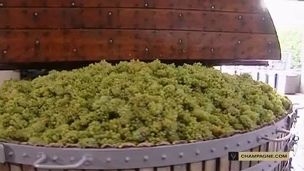 Winemaking: pressing