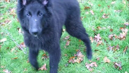 heaven 23 janvier 2013 021.AVI