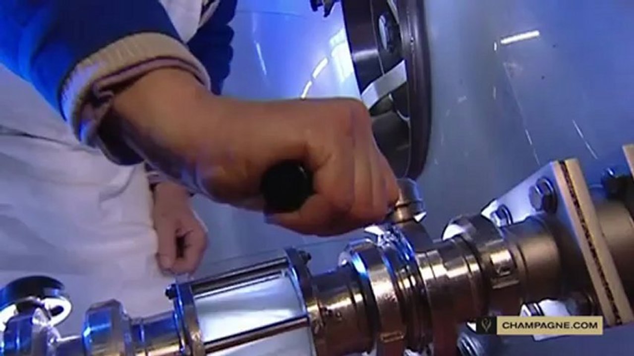 Elaboration du vin : la fermentation