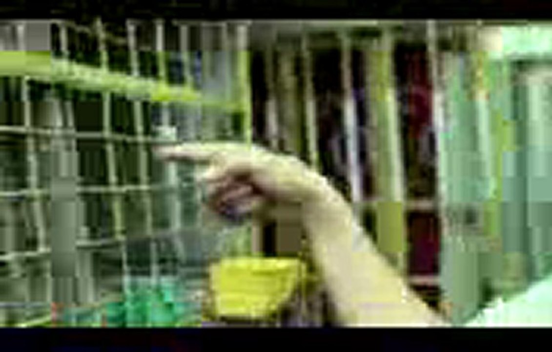 로얄바카라 ✡✰XEC600．ＣＯＭ ✰✡ 투게더카지노