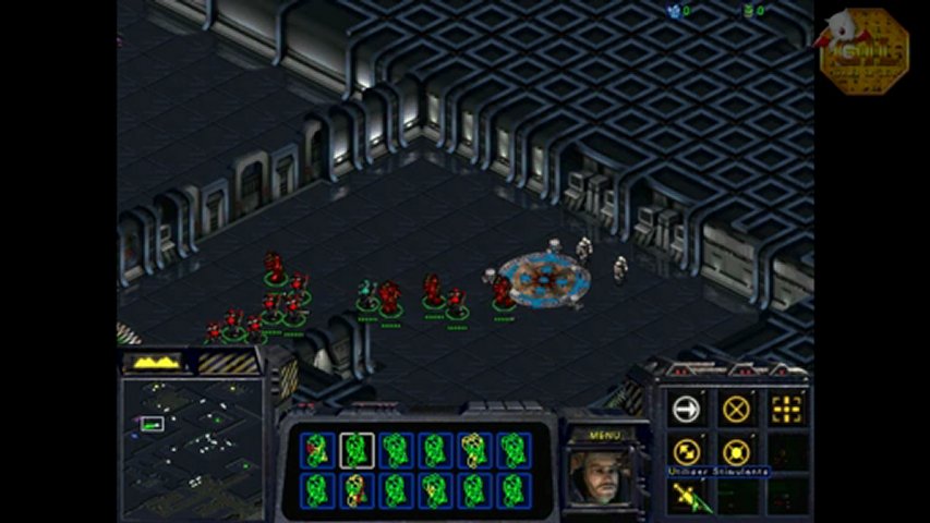 Starcraft Walkthrough