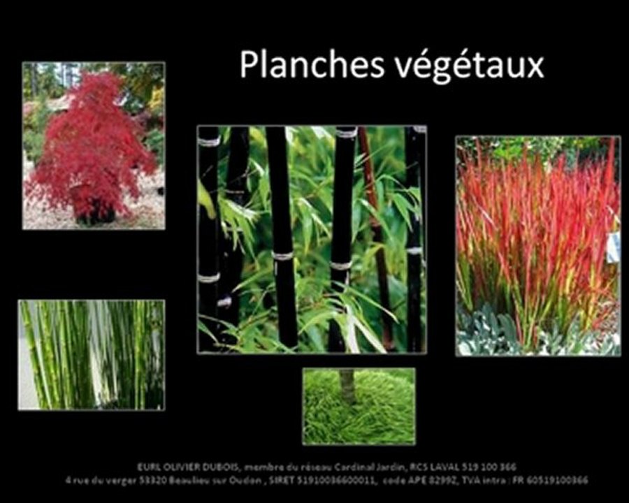 jardin d'asie