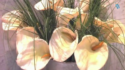 Gijón - Hotel Celuisma Pathos (Quehoteles.com)