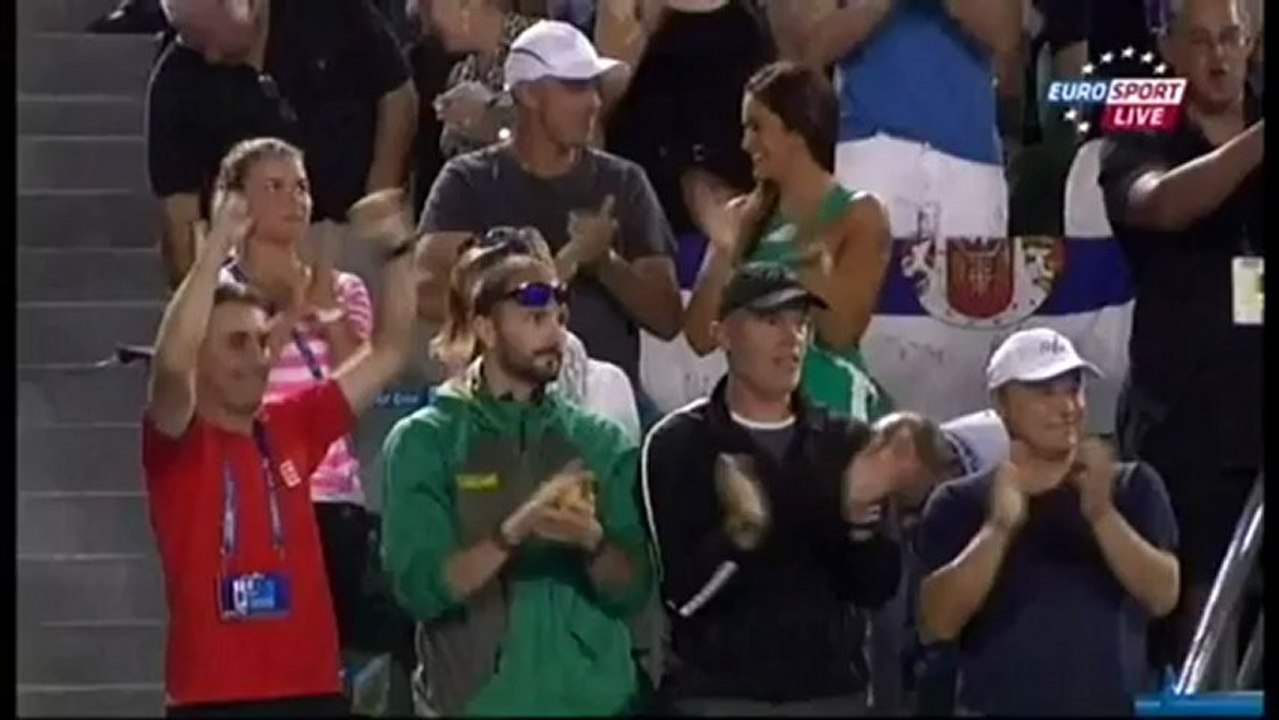 Novak Djokovic vs David Ferrer Australian Open 2013 Semi Finals  HD